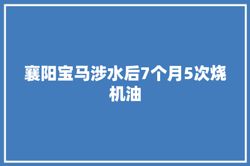 襄阳宝马涉水后7个月5次烧机油