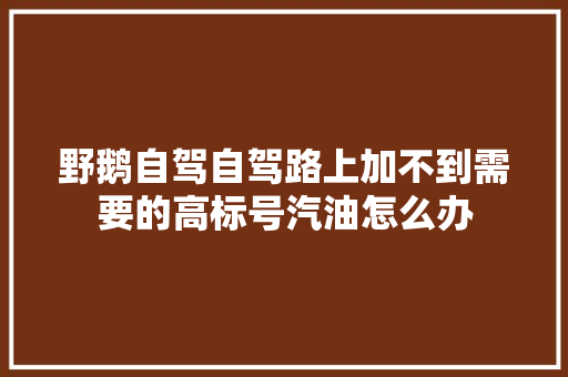 野鹅自驾自驾路上加不到需要的高标号汽油怎么办