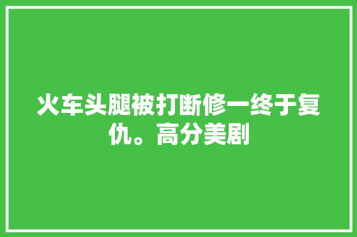 火车头腿被打断修一终于复仇。高分美剧