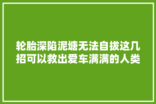 轮胎深陷泥塘无法自拔这几招可以救出爱车满满的人类聪慧精华