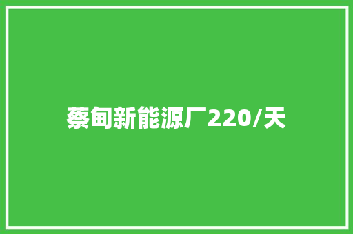 蔡甸新能源厂220/天