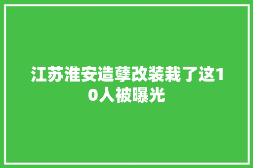 江苏淮安造孽改装栽了这10人被曝光
