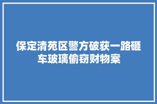 保定清苑区警方破获一路砸车玻璃偷窃财物案