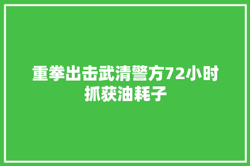 重拳出击武清警方72小时抓获油耗子