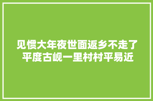 见惯大年夜世面返乡不走了 平度古岘一里村村平易近讲述各自精彩小康生活
