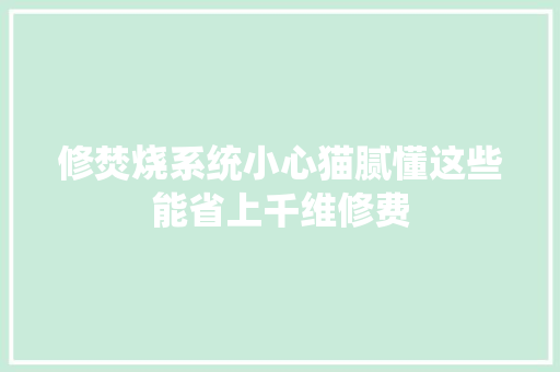 修焚烧系统小心猫腻懂这些能省上千维修费