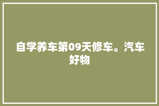 自学养车第09天修车。汽车好物
