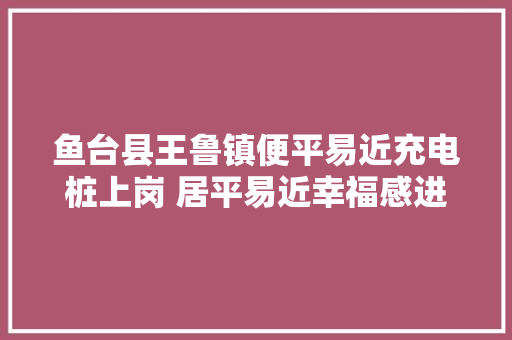 鱼台县王鲁镇便平易近充电桩上岗 居平易近幸福感进级