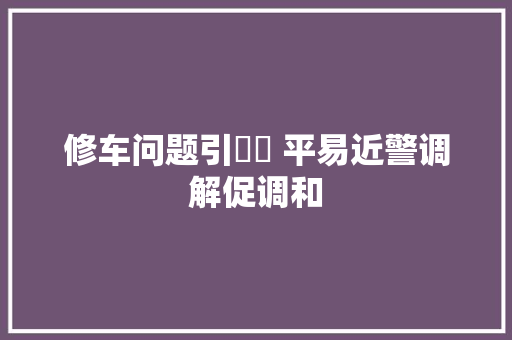 修车问题引轇轕 平易近警调解促调和