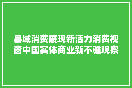 县域消费展现新活力消费视窗中国实体商业新不雅观察