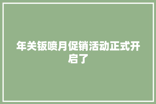 年关钣喷月促销活动正式开启了