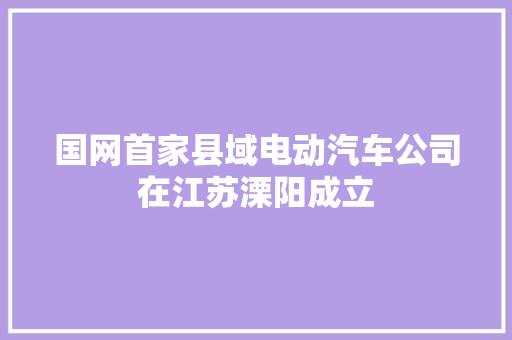国网首家县域电动汽车公司在江苏溧阳成立