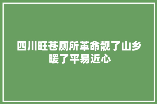 四川旺苍厕所革命靓了山乡 暖了平易近心