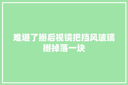 难堪了掰后视镜把挡风玻璃掰掉落一块