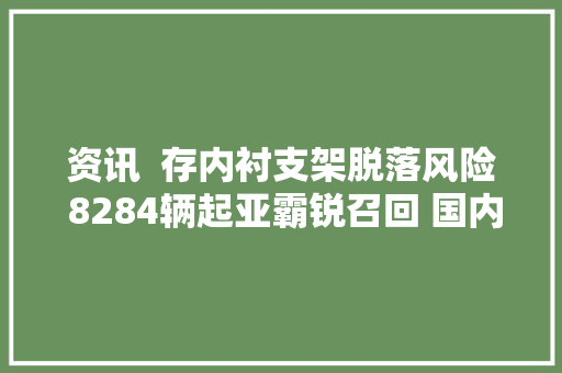 资讯  存内衬支架脱落风险 8284辆起亚霸锐召回 国内曾售398万元起