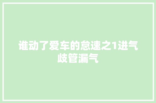 谁动了爱车的怠速之1进气歧管漏气