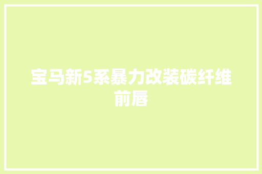 宝马新5系暴力改装碳纤维前唇 汽车知识