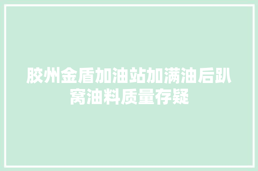胶州金盾加油站加满油后趴窝油料质量存疑