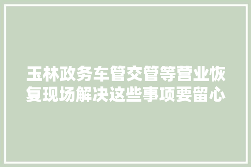 玉林政务车管交管等营业恢复现场解决这些事项要留心