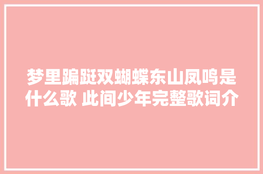 梦里蹁跹双蝴蝶东山凤鸣是什么歌 此间少年完整歌词介绍