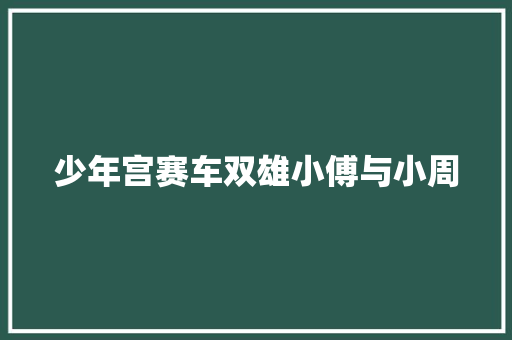 少年宫赛车双雄小傅与小周