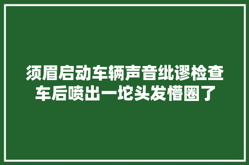 须眉启动车辆声音纰谬检查车后喷出一坨头发懵圈了