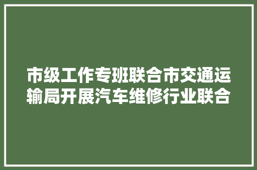 市级工作专班联合市交通运输局开展汽车维修行业联合检查