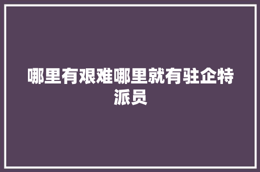 哪里有艰难哪里就有驻企特派员