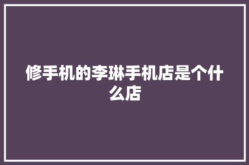 修手机的李琳手机店是个什么店