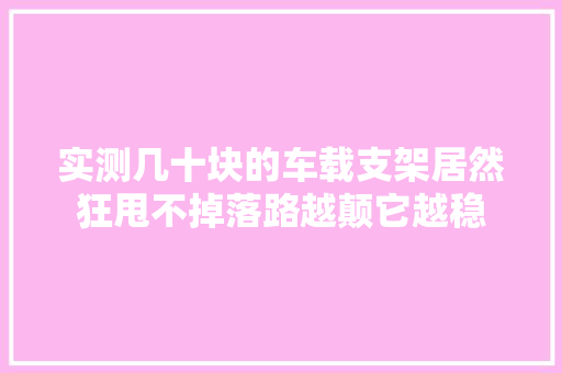 实测几十块的车载支架居然狂甩不掉落路越颠它越稳