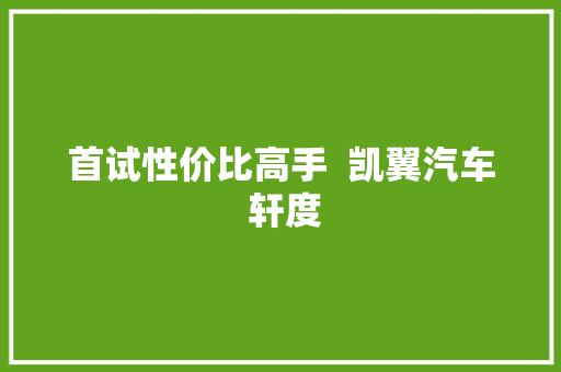 首试性价比高手  凯翼汽车 轩度