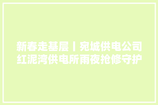新春走基层丨宛城供电公司红泥湾供电所雨夜抢修守护万家灯火