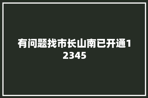 有问题找市长山南已开通12345