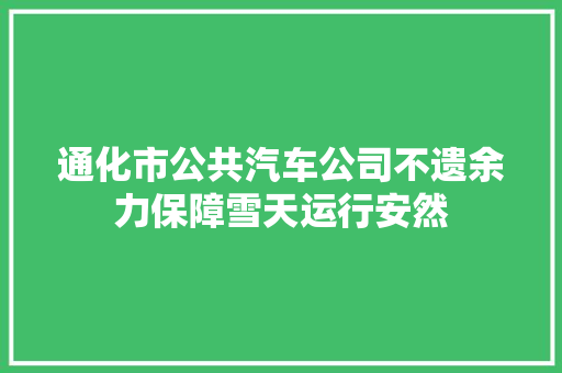 通化市公共汽车公司不遗余力保障雪天运行安然