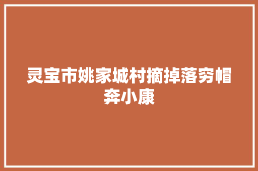 灵宝市姚家城村摘掉落穷帽奔小康