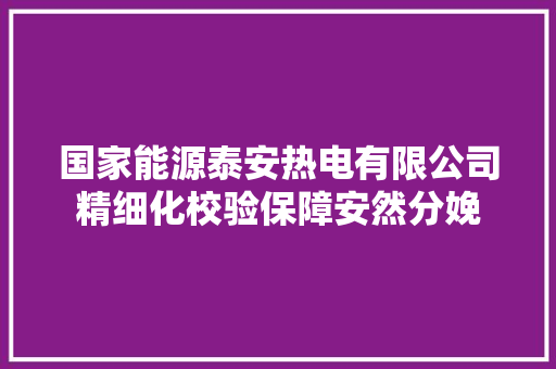 国家能源泰安热电有限公司精细化校验保障安然分娩