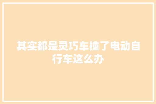 其实都是灵巧车撞了电动自行车这么办