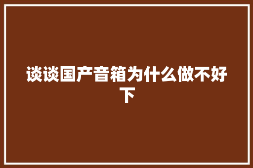 谈谈国产音箱为什么做不好下