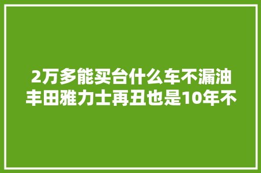 2万多能买台什么车不漏油丰田雅力士再丑也是10年不漏油 汽车知识