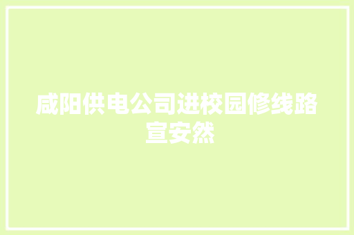 咸阳供电公司进校园修线路 宣安然