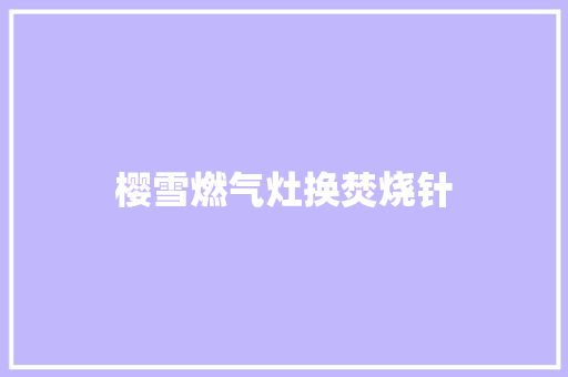 樱雪燃气灶换焚烧针 汽车知识