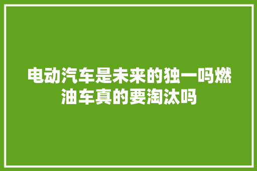 电动汽车是未来的独一吗燃油车真的要淘汰吗