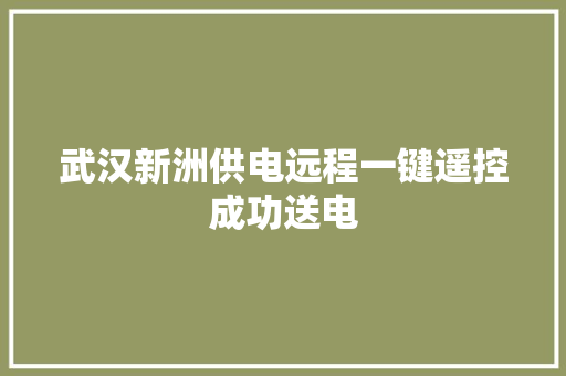 武汉新洲供电远程一键遥控成功送电