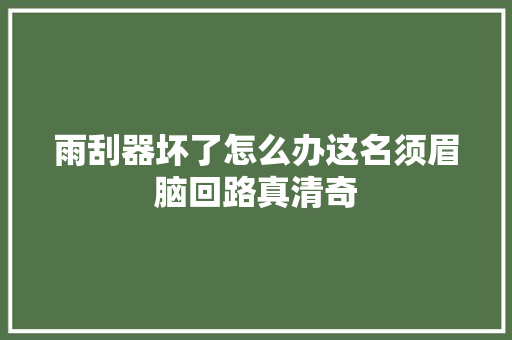 雨刮器坏了怎么办这名须眉脑回路真清奇