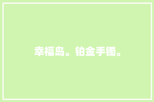 幸福岛。铂金手镯。