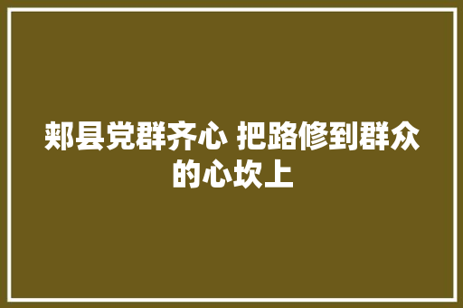郏县党群齐心 把路修到群众的心坎上