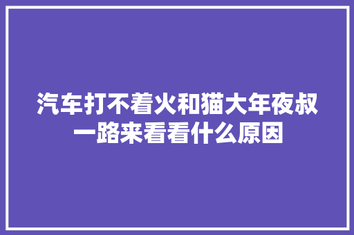 汽车打不着火和猫大年夜叔一路来看看什么原因