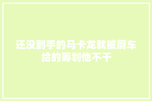 还没到手的马卡龙就被蔚车给的筹划他不干