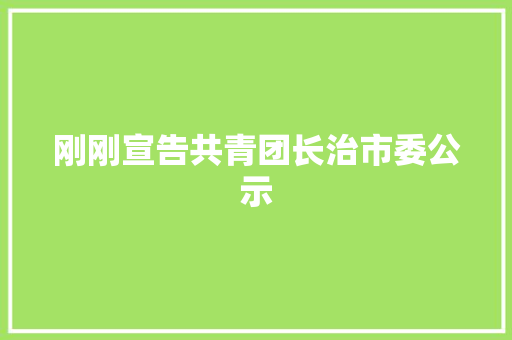 刚刚宣告共青团长治市委公示
