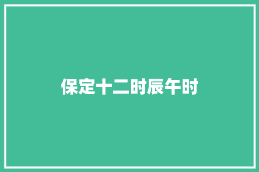 保定十二时辰午时
